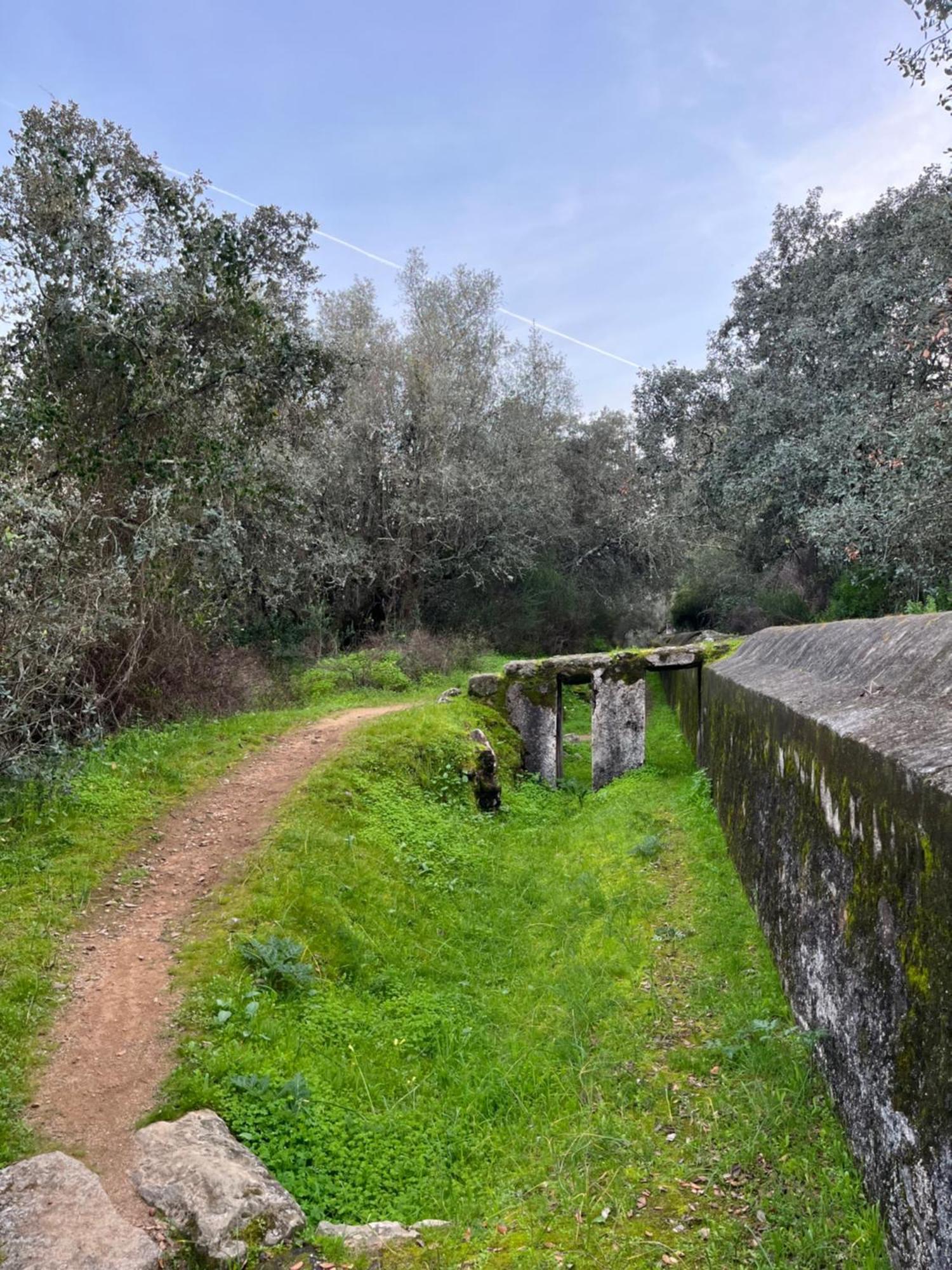 Quinta Do Faisco Villa Évora Eksteriør billede